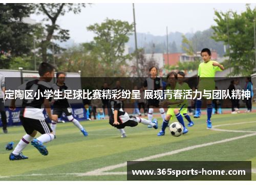 定陶区小学生足球比赛精彩纷呈 展现青春活力与团队精神